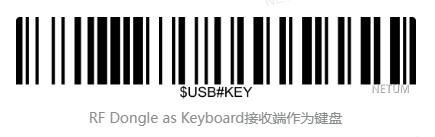 Bluetooth setup barcode