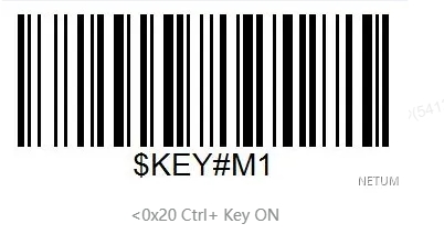 Bluetooth setup barcode