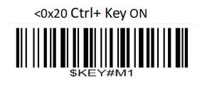 Prefix and suffix setup barcode