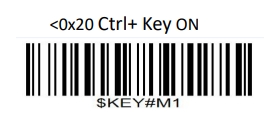 Prefix and suffix setup barcode