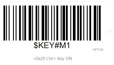 Prefix and suffix setup barcode