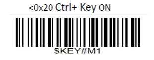 Prefix and suffix setup barcode