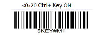 Prefix and suffix setup barcode